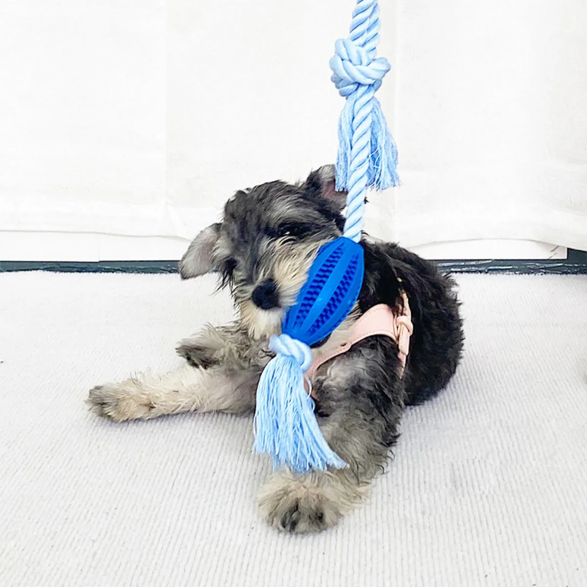 Chewia - Rope Tug Dog Toy