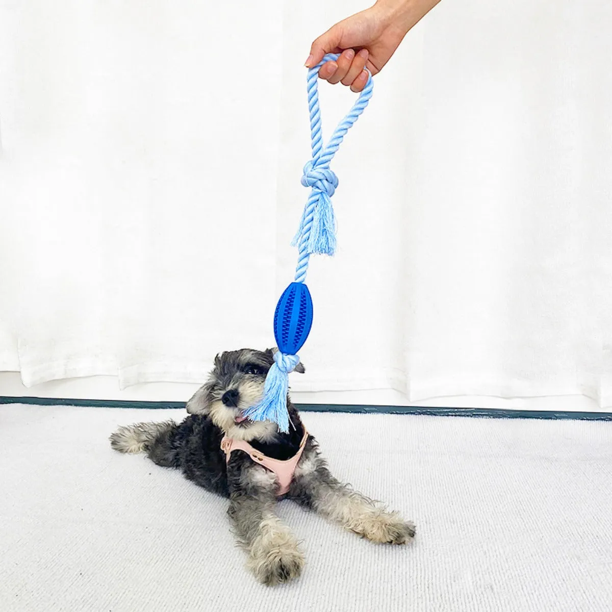 Chewia - Rope Tug Dog Toy