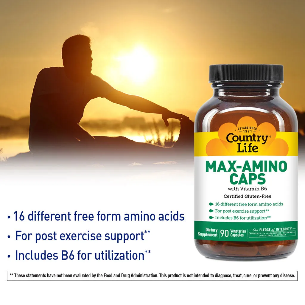 Country Life Max-Amino With Vitamin B6 Vegetarian Capsules For Muscle Recovery, Pack of 90's