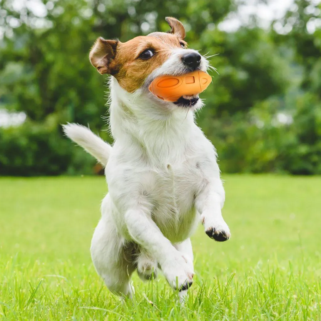 Dog Chew Toy Squeez Football