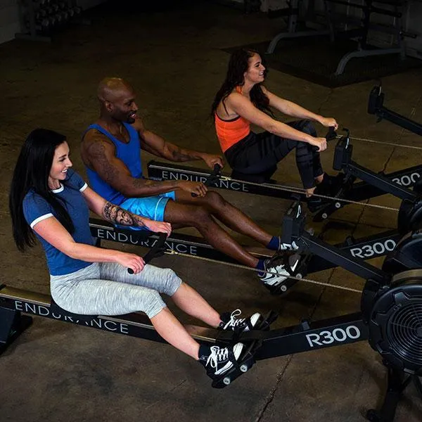 Endurance by Body Solid R300 Rower