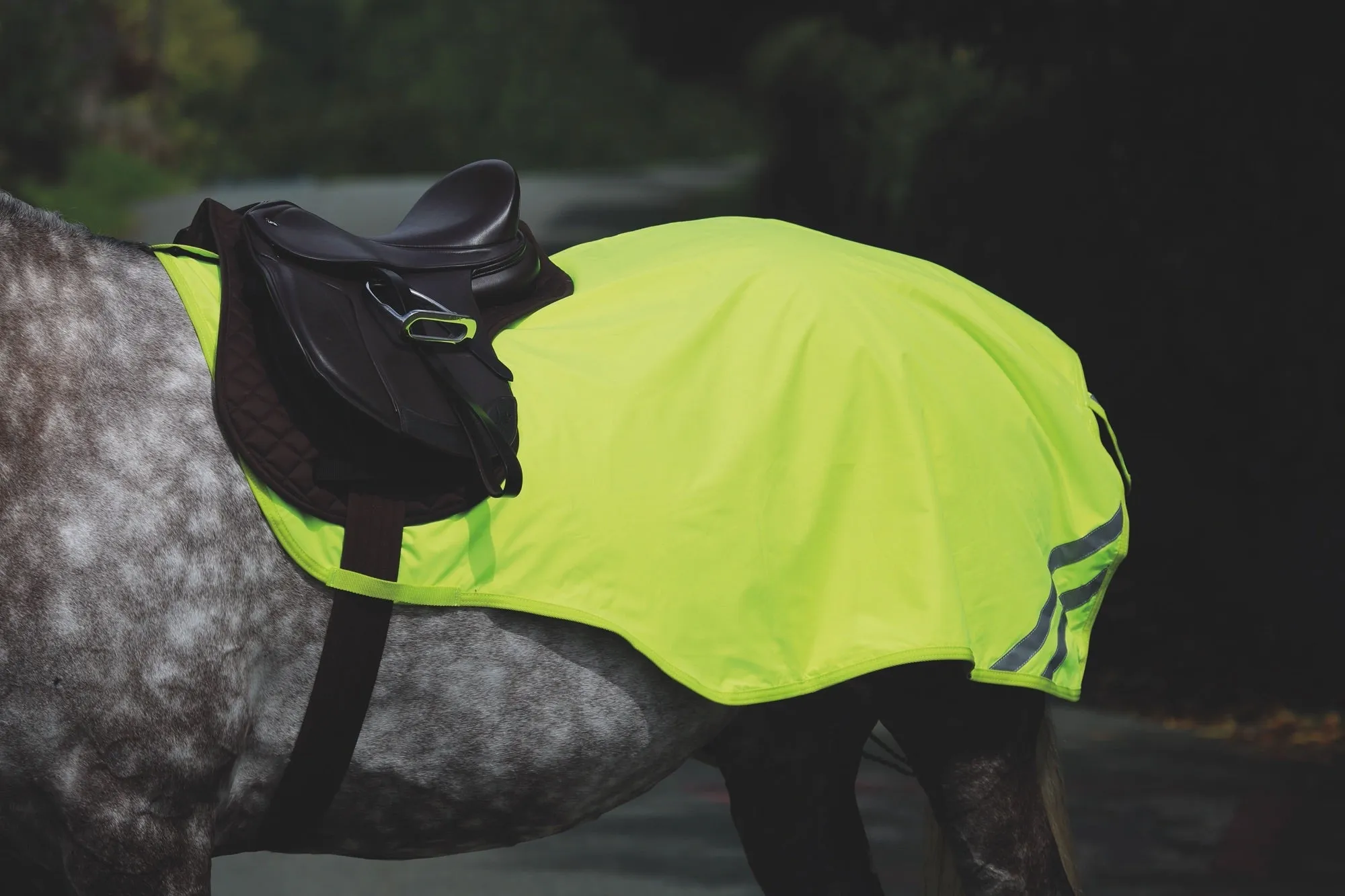 EQUI-FLECTOR Reflective Mesh Exercise Sheet