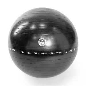 Exercise Ball