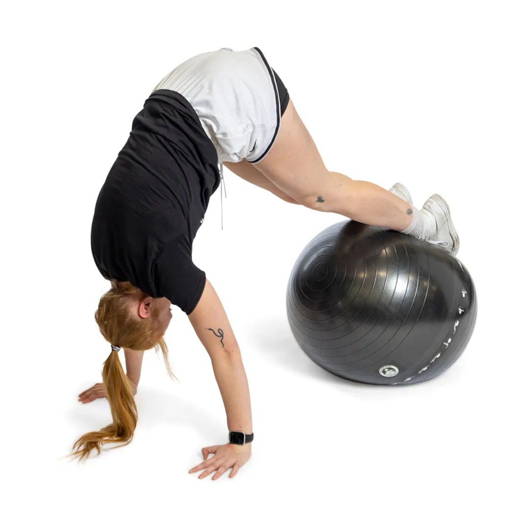 Exercise Ball