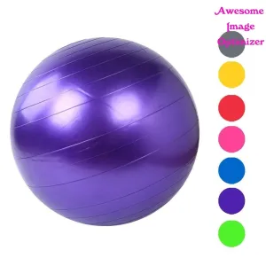 Home Exercise Workout Fitness Gym Yoga Ball