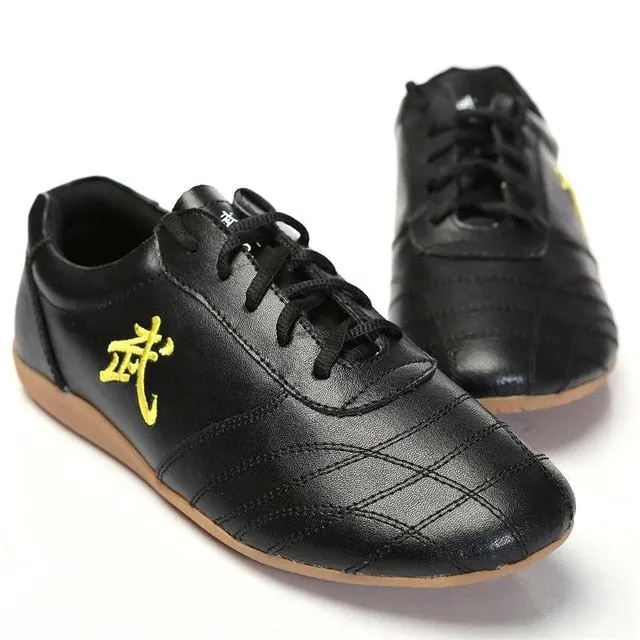 kids Chinese Martial arts wushu and Taichi shoes for Men and Women