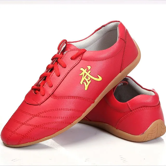 kids Chinese Martial arts wushu and Taichi shoes for Men and Women