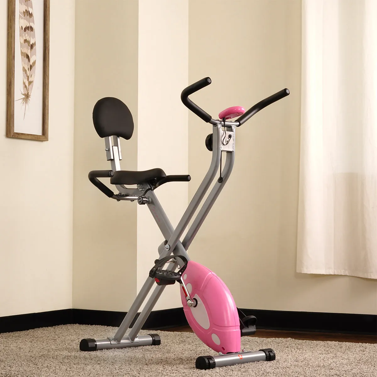 Magnetic Folding Recumbent Bike Exercise Bike, 220lb Capacity