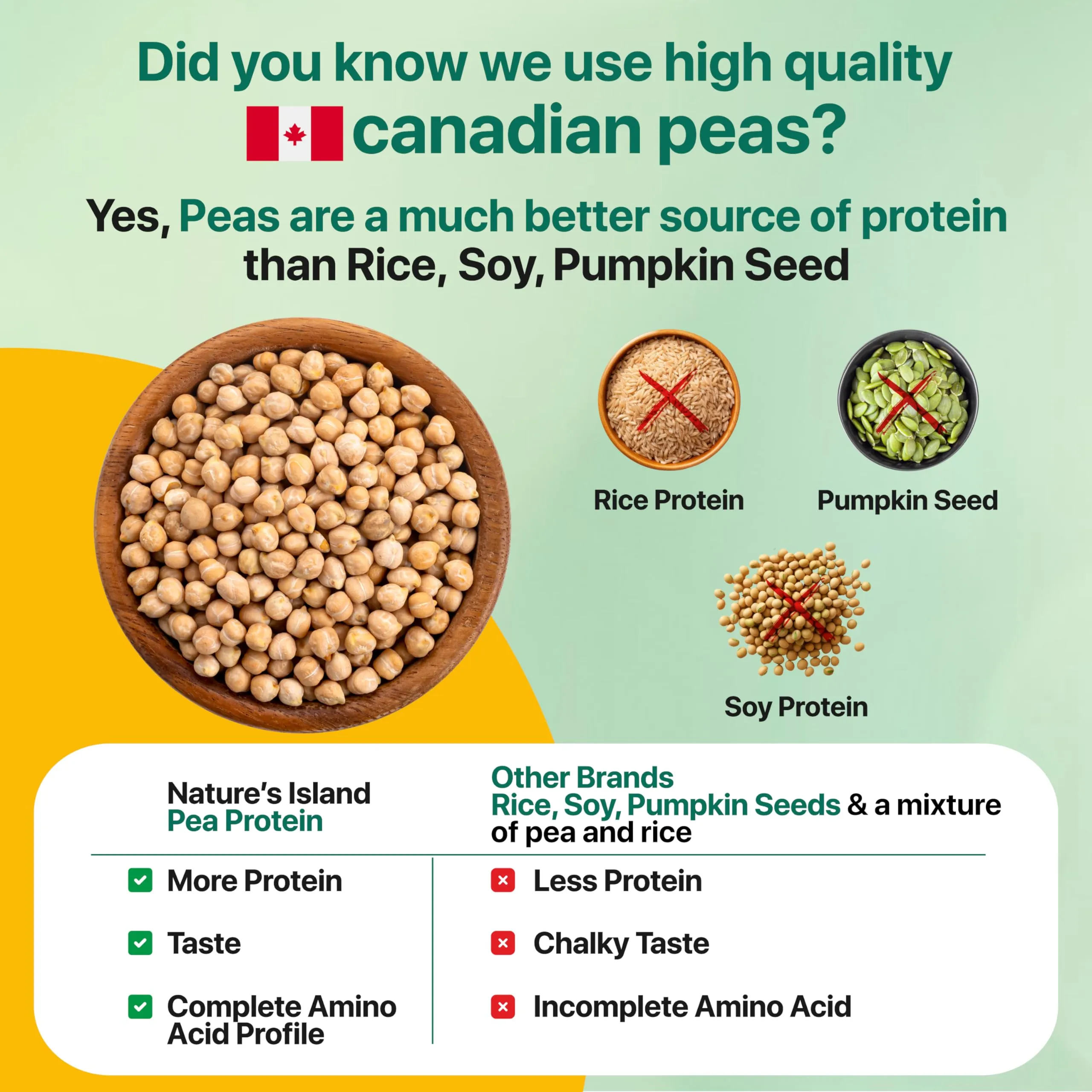 Nature's Island Plant Protein Powder | Canadian Pea Protein Isolate | Vegan | 25g Protein/Serving | Easy to Digest | All Essential Amino Acids | No Sugar | No Preservatives | Chocolate Flavour - 1kg