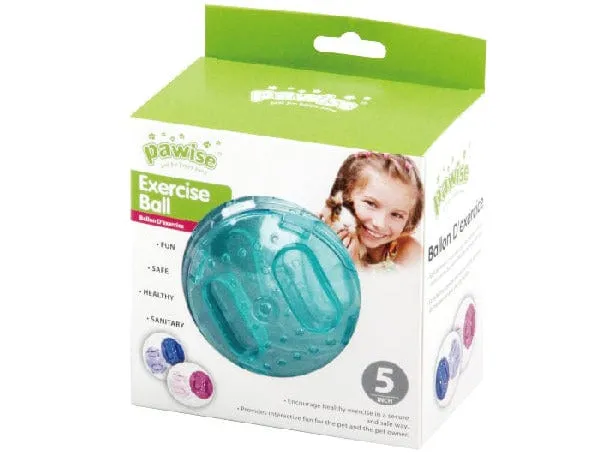 Pawise Exercise Ball 5"