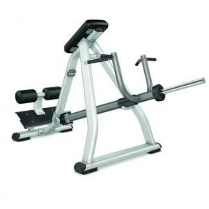 Precor Discovery Series Incline Lever Row (DPL0311)