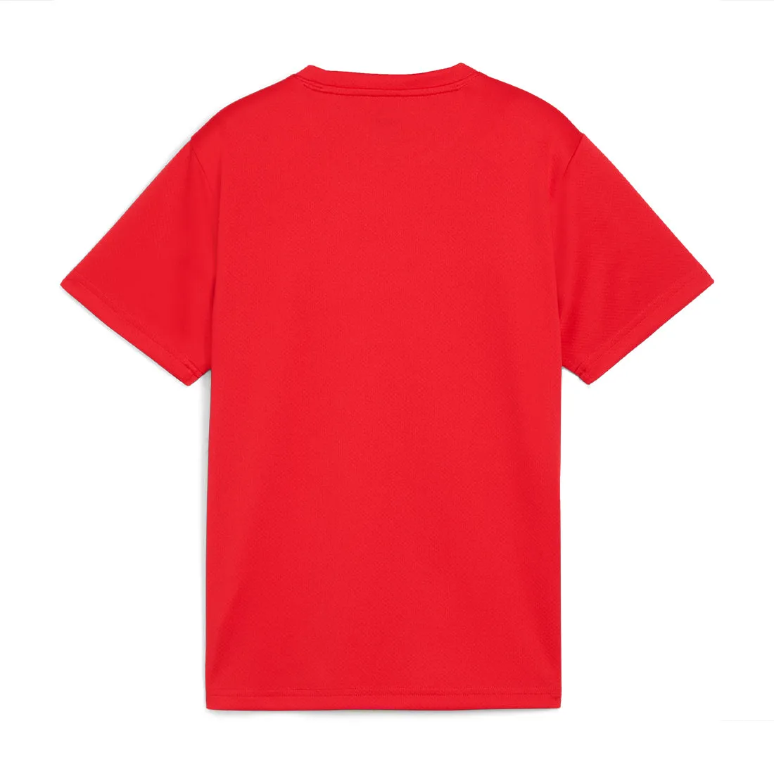 PUMA teamGOAL Junior Football Jersey Red