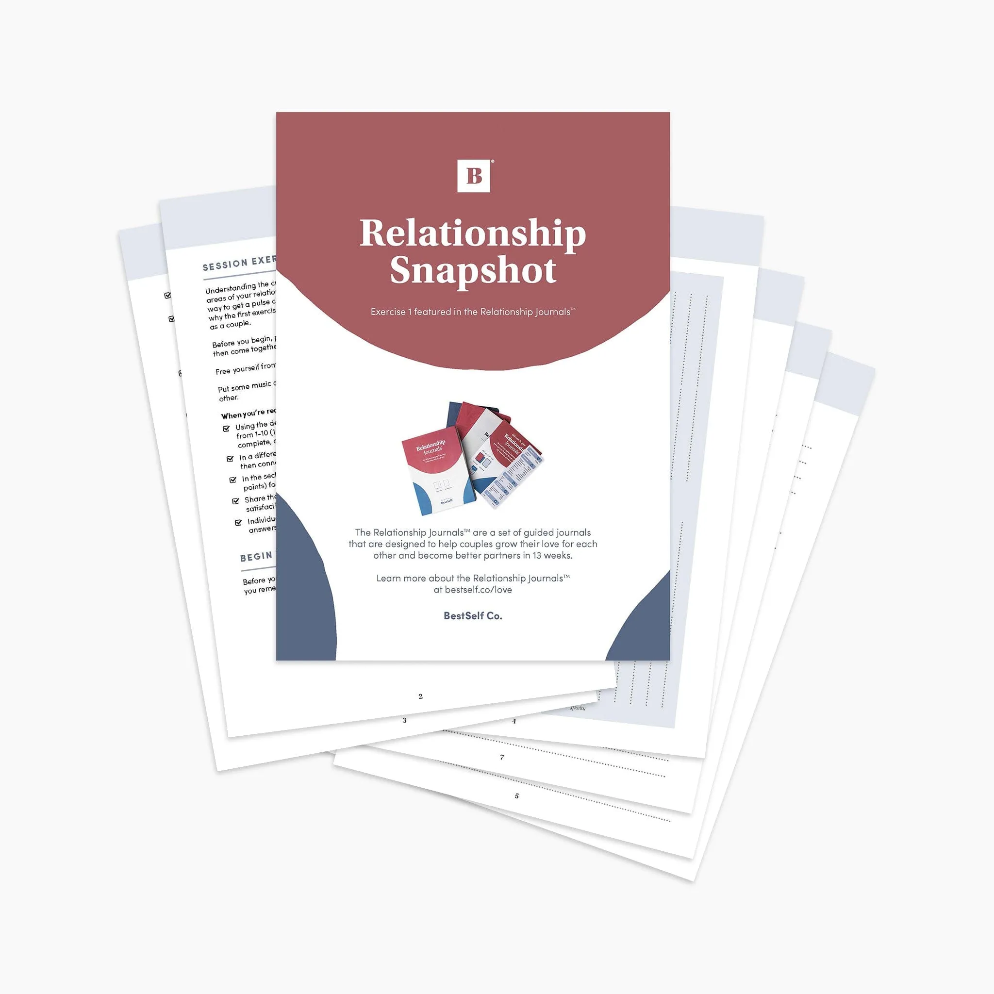 Relationship Snapshot Exercise (Digital Download)