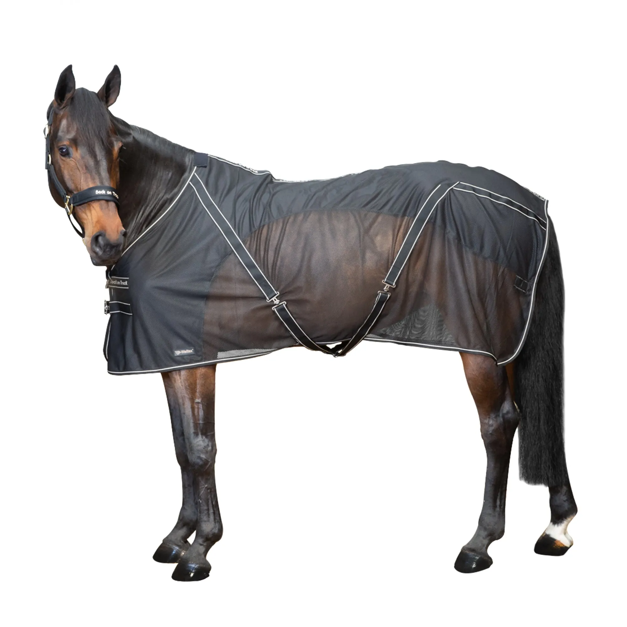 Sienna Horse Mesh Cooler