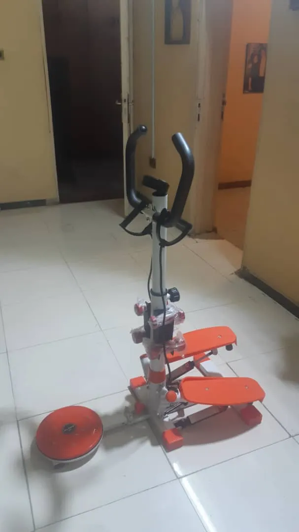 Stepper with Handle & Dumbbell & Waist Twister & Rope