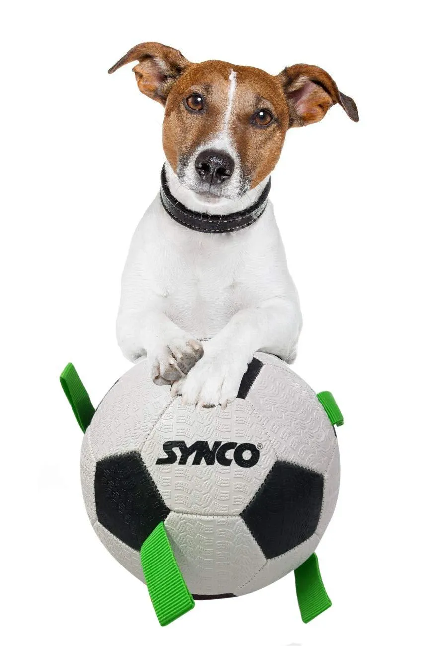 Synco Dog Toy Football with Green Holding Loops | Dog Ball Size-3 | Dog Toy Ball (White)