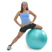 Theragear Stability Ball