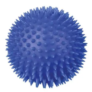 Trixie Hedgehog Ball Vinyl Toy for Dogs (Blue)