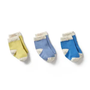 Wilson & Frenchy Organic 3 Pack Baby Socks - Endive, Bluebell, Blue